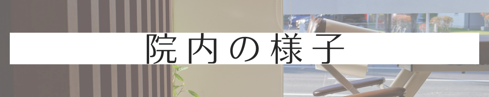 画像の説明